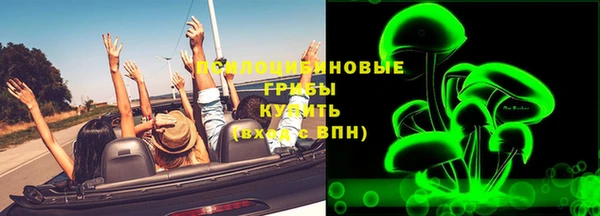 прущие крисы Медвежьегорск