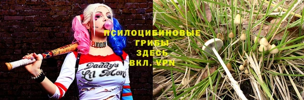 прущие крисы Медвежьегорск