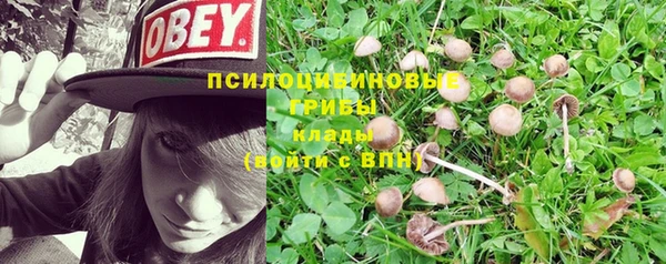 mdpv Магадан