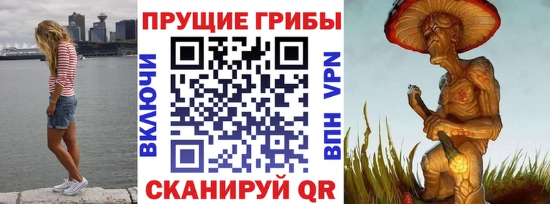 кракен маркетплейс  Нолинск  Псилоцибиновые грибы мицелий 